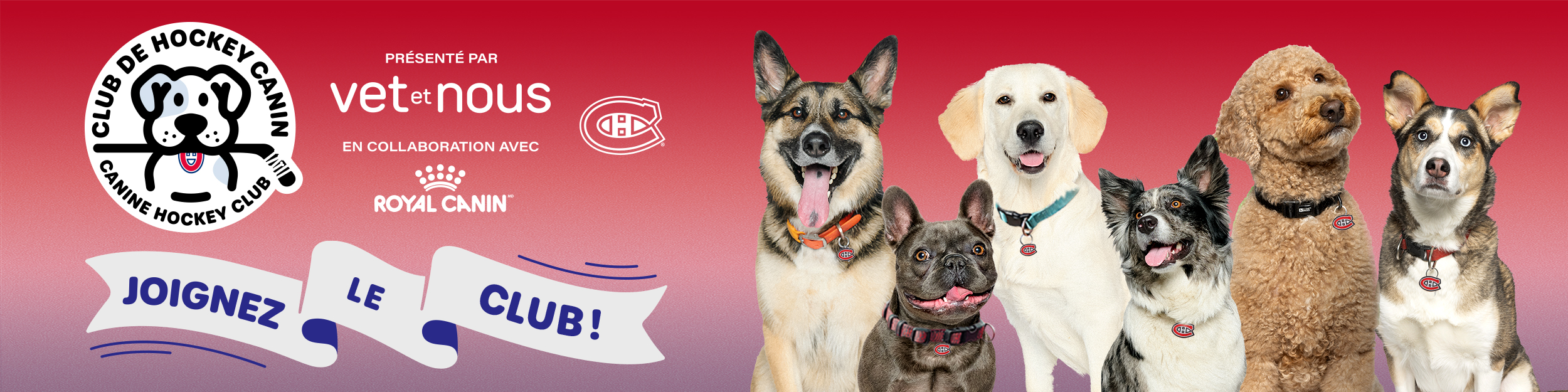 bannerCanin